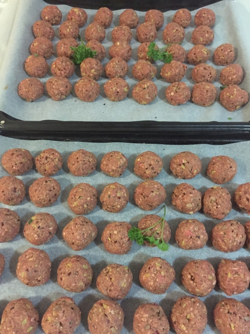 Home Made Healthy Meatballs